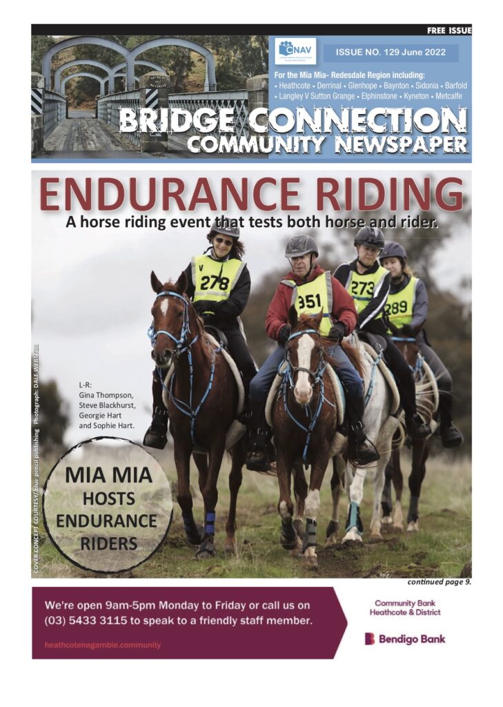 The Bridge Connection Redesdale